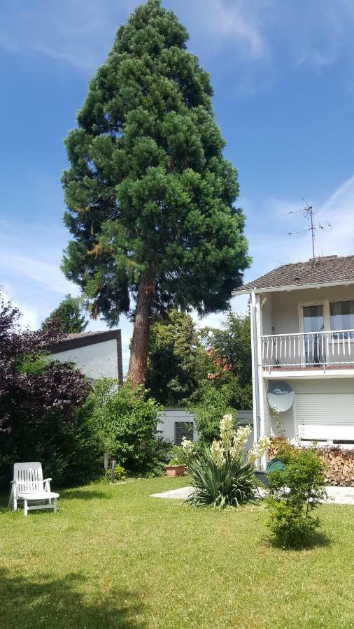 Ferienwohnung Schlossblick Μπενσχάιμ Εξωτερικό φωτογραφία